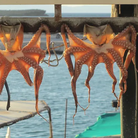 Apartment Economy Studio *